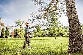 Best Tree Removal Services  in Maple Heights, OH